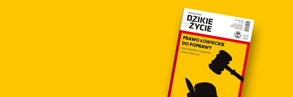 Nowy numer