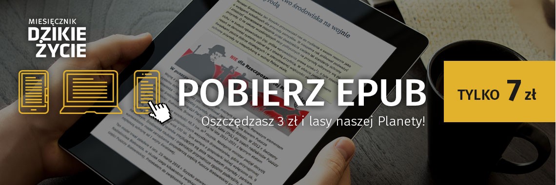 Epub