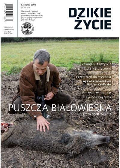 Dzikie Życie 2008, nr 11 (173), listopad