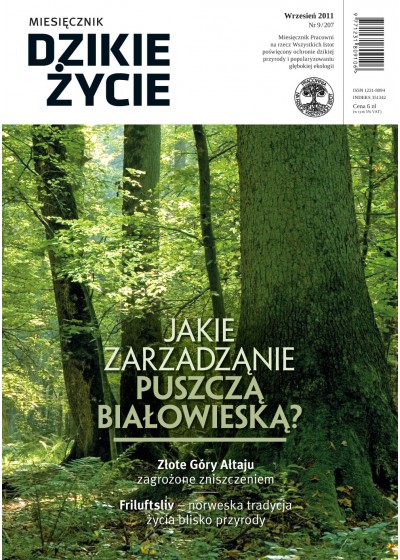 Dzikie Życie 2011, nr 9 (207), wrzesień