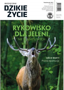 Dzikie Życie 2012, nr 10 (220), październik