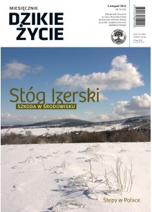 Dzikie Życie 2012, nr 11 (221), listopad