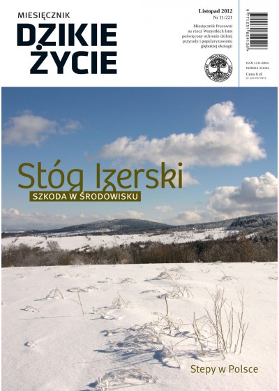 Dzikie Życie 2012, nr 11 (221), listopad