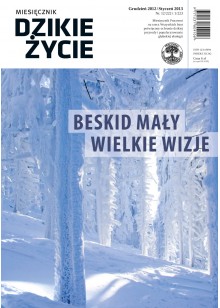 Dzikie Życie 2012-2013, nr 12-1 (222-223), grudzień-styczeń