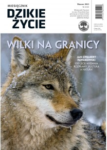 Dzikie Życie 2013, nr 3 (225), marzec