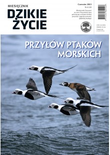 Dzikie Życie 2013, nr 6 (228), czerwiec