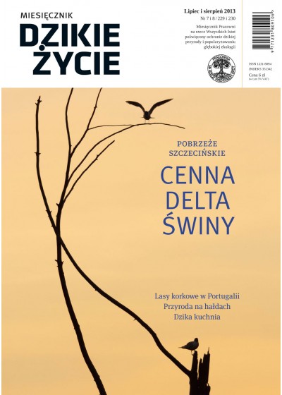 Dzikie Życie 2013, nr 7-8 (229-230), lipiec-sierpień