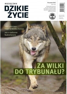 Dzikie Życie 2013, nr 9 (231), wrzesień