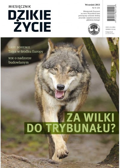 Dzikie Życie 2013, nr 9 (231), wrzesień