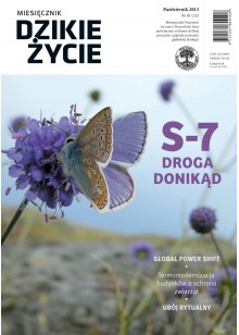 Dzikie Życie 2013, nr 10 (232), październik