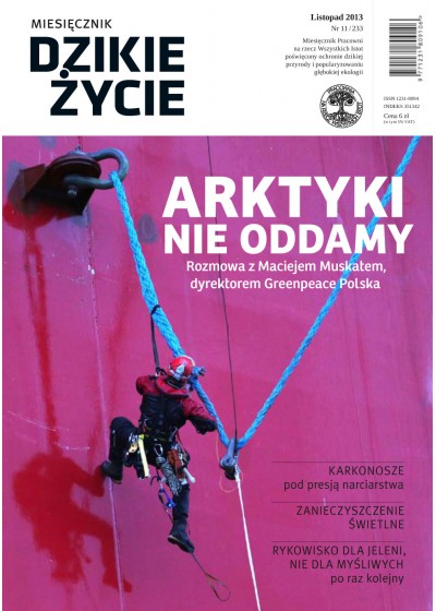 Dzikie Życie 2013, nr 11 (233), listopad