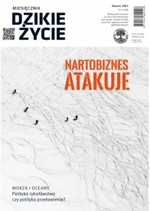 Dzikie Życie 2015, nr 3 (249), marzec