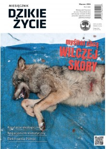 Dzikie Życie 2016, nr 3 (261), marzec