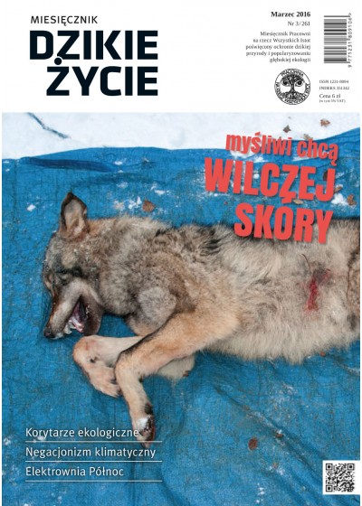Dzikie Życie 2016, nr 3 (261), marzec