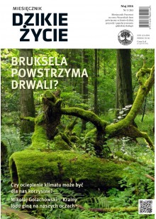 Dzikie Życie 2016, nr 5 (263), maj