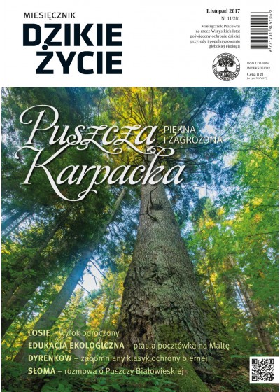 Dzikie Życie 2017, nr 11 (281) listopad : mobi