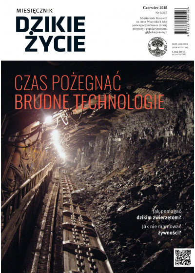 Dzikie Życie 2018, nr 6 (288) czerwiec