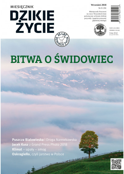 Dzikie Życie 2018, nr 9 (291) wrzesień