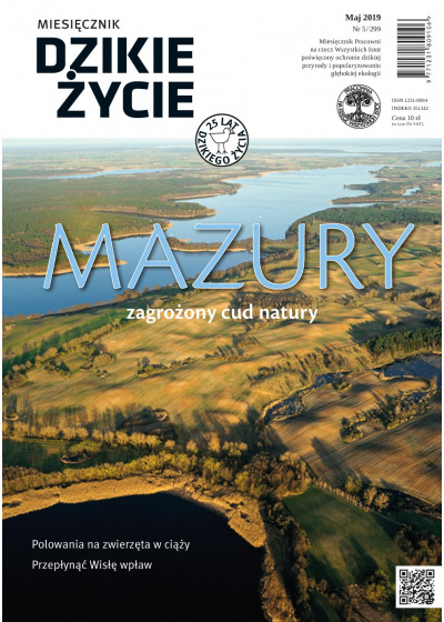 Dzikie Życie 2019, nr 5 (299) maj
