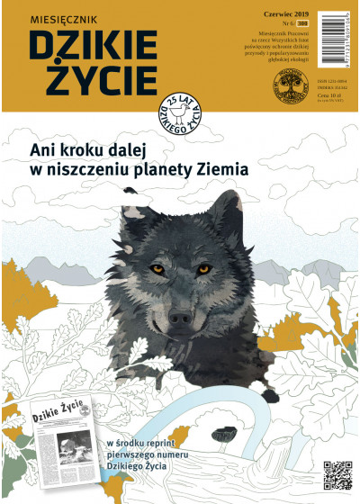 Dzikie Życie 2019, nr 6 (300) czerwiec :: mobi