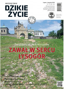 Dzikie Życie 2019, nr 7-8 (301-302) lipiec-sierpień