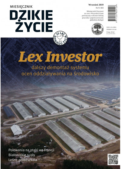 Dzikie Życie 2019, nr 9 (303) wrzesień :: mobi
