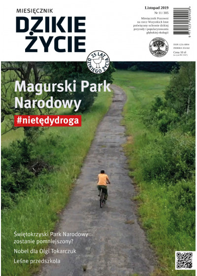 Dzikie Życie 2019, nr 11 (305) listopad
