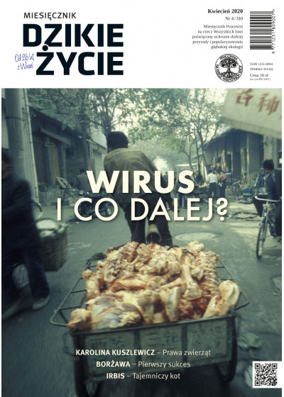 Dzikie Życie 2020, nr 4 (310) kwiecień :: epub