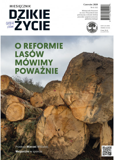 Dzikie Życie 2020, nr 6 (312) czerwiec
