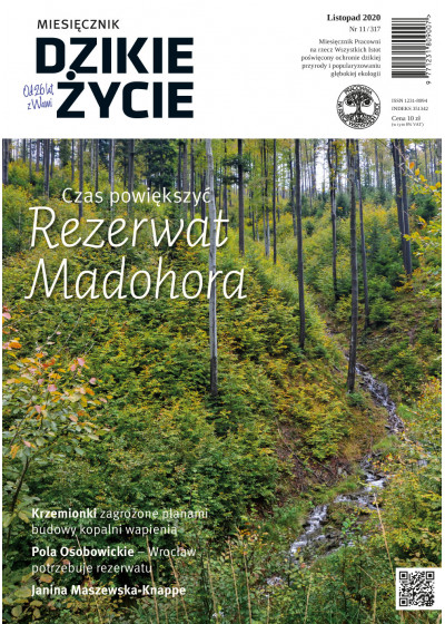 Dzikie Życie 2020, nr 11 (317) listopad :: mobi