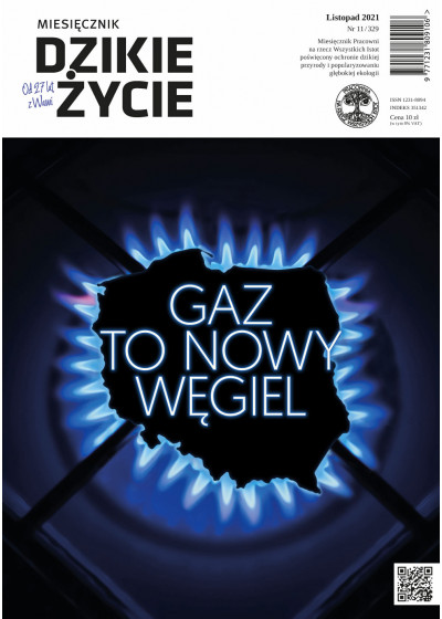 Dzikie Życie 2021, nr 11 (329) listopad :: epub