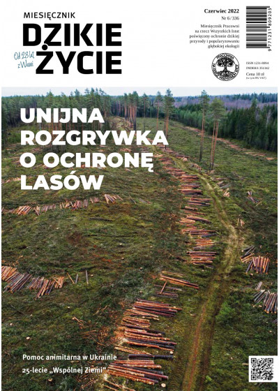 Dzikie Życie 2022, nr 6 (336) czerwiec