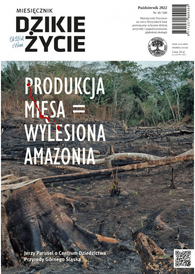 Dzikie Życie 2022, nr 10 (340) październik :: mobi
