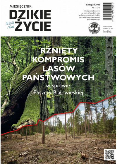 Dzikie Życie 2022, nr 11 (341) listopad :: mobi