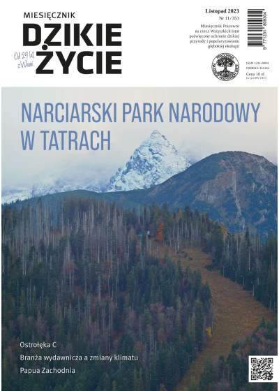 Dzikie Życie 2023, nr 11 (353) listopad
