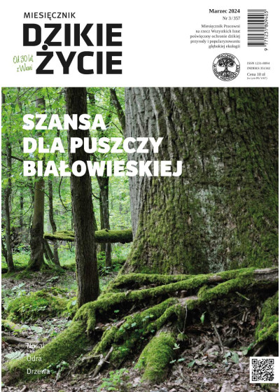 Dzikie Życie 2024, nr 3 (357) marzec :: mobi