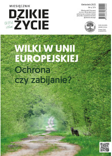 Dzikie Życie 2025, nr 4 (370) kwiecień