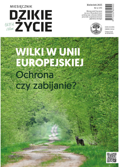 Dzikie Życie 2025, nr 4 (370) kwiecień