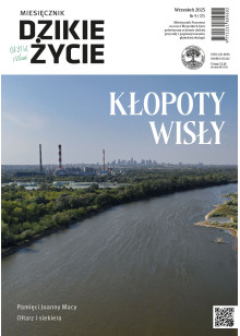 Dzikie Życie 2025, nr 9 (375) wrzesień
