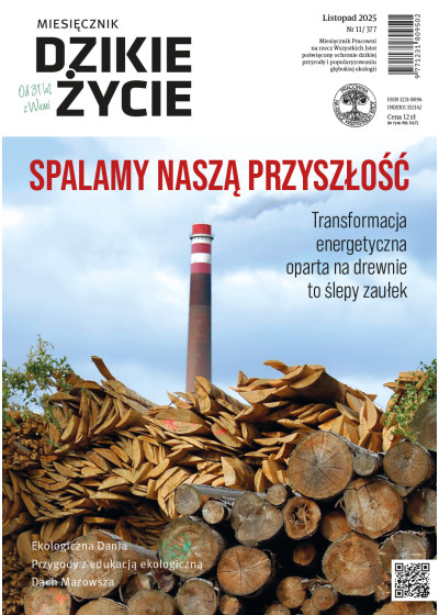 Dzikie Życie 2025, nr 11 (377) listopad