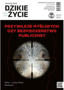 Dzikie Życie 2025-2026, nr 12-1 (378-379) grudzień-styczeń :: epub Dzikie Życie 2025-2026, nr 12-1 (378-379) grudzień-styczeń :: epub