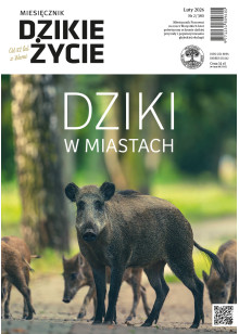 Dzikie Życie 2026, nr 2 (380) luty :: epub