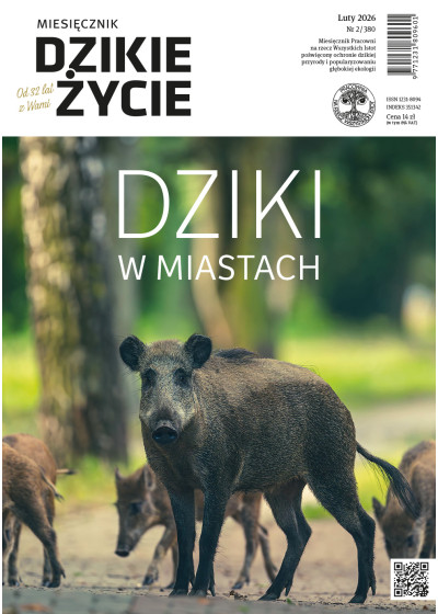 Dzikie Życie 2026, nr 2 (380) luty