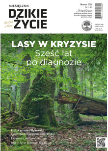 Dzikie Życie 2026, nr 3 (381) marzec