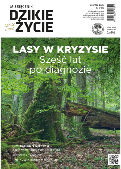 Dzikie Życie 2026, nr 3 (381) marzec