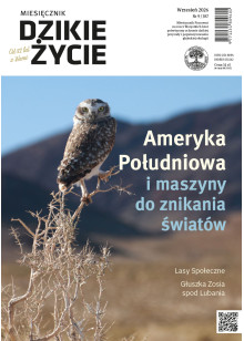 Dzikie Życie 2026, nr 9 (387) wrzesień :: mobi Dzikie Życie 2026, nr 9 (387) wrzesień :: mobi