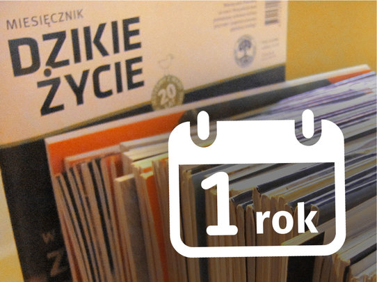 Dzikie Życie - prenumerata roczna