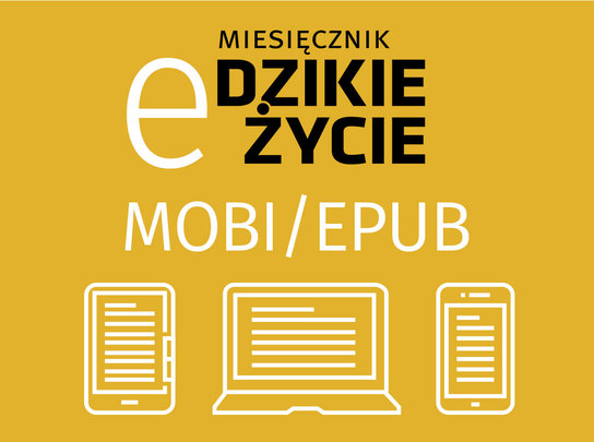 Ebook